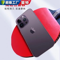 双飞胜乒乓球拍